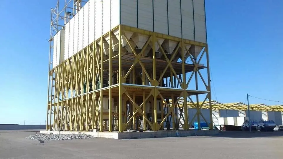 Hopper-bottom silos on a steel support structure