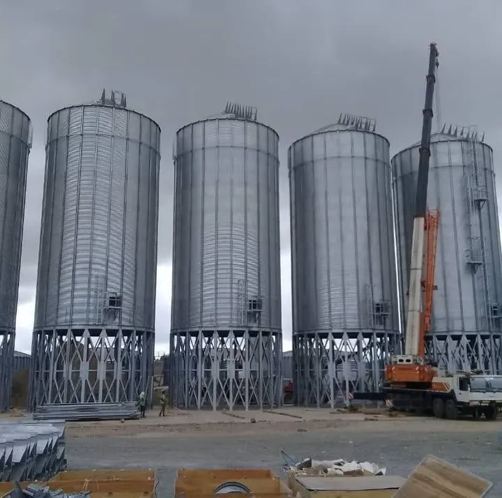 Hopper-bottom silos on a steel support structure