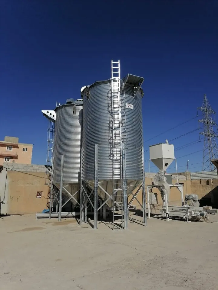 Hopper-bottom silos on a steel support structure