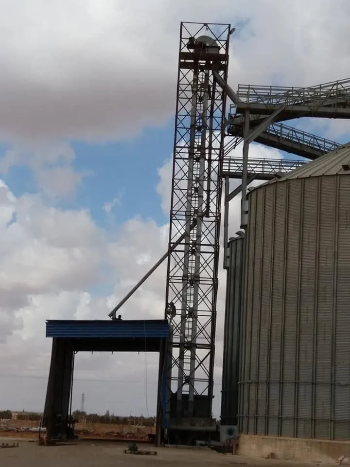 Elevator tower and silo